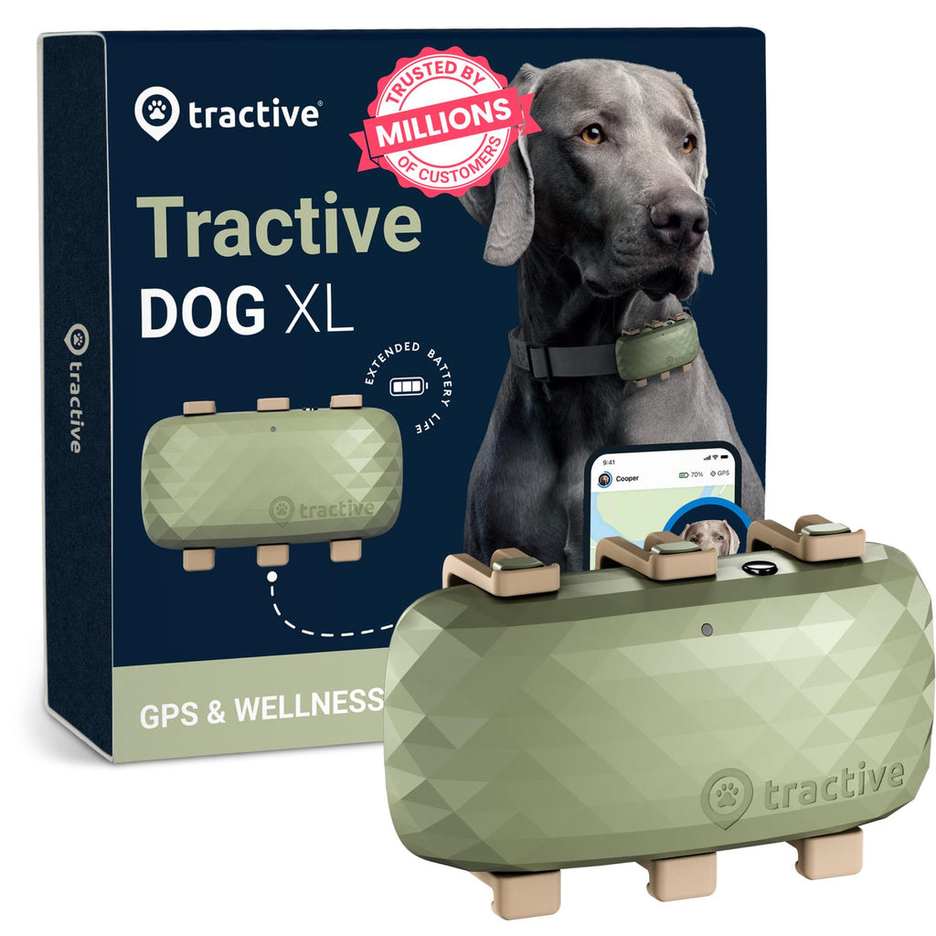 その他 Tractive GPS & Health Tracker for Dogs 722956-Product-0-I-