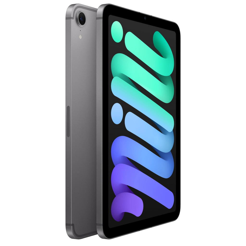 Apple iPad mini 8.3-inch Wi-Fi + Cellular 256GB (Space Grey)[A17