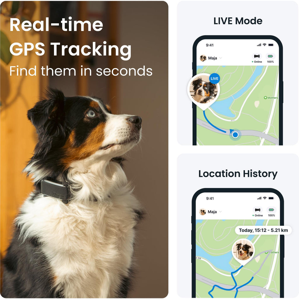 Tractive Gps Pet Dog Gps Tracker Tractive GPS Pet Tracking – PrimeLeb