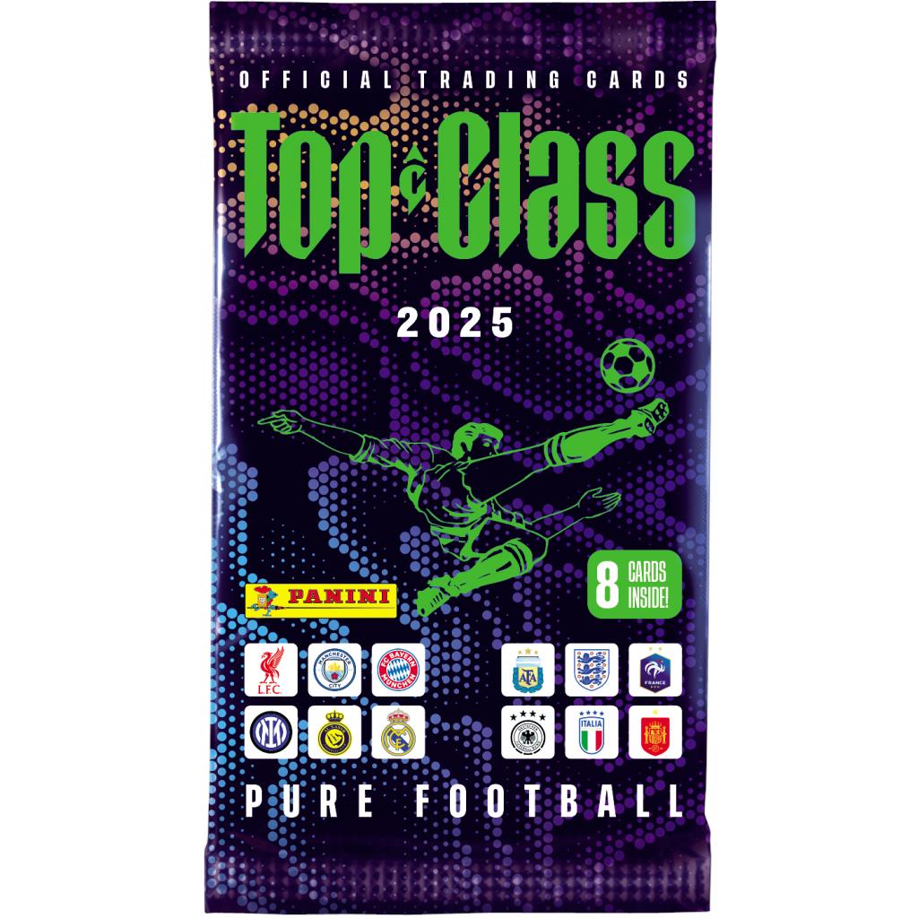 soccer cards booster box Panini Top Class 2025 Trading - Pack Character:Lady Labrynth of the Silver Castle X Subcat: Gifts for Him Zacian V 138/202 Sword