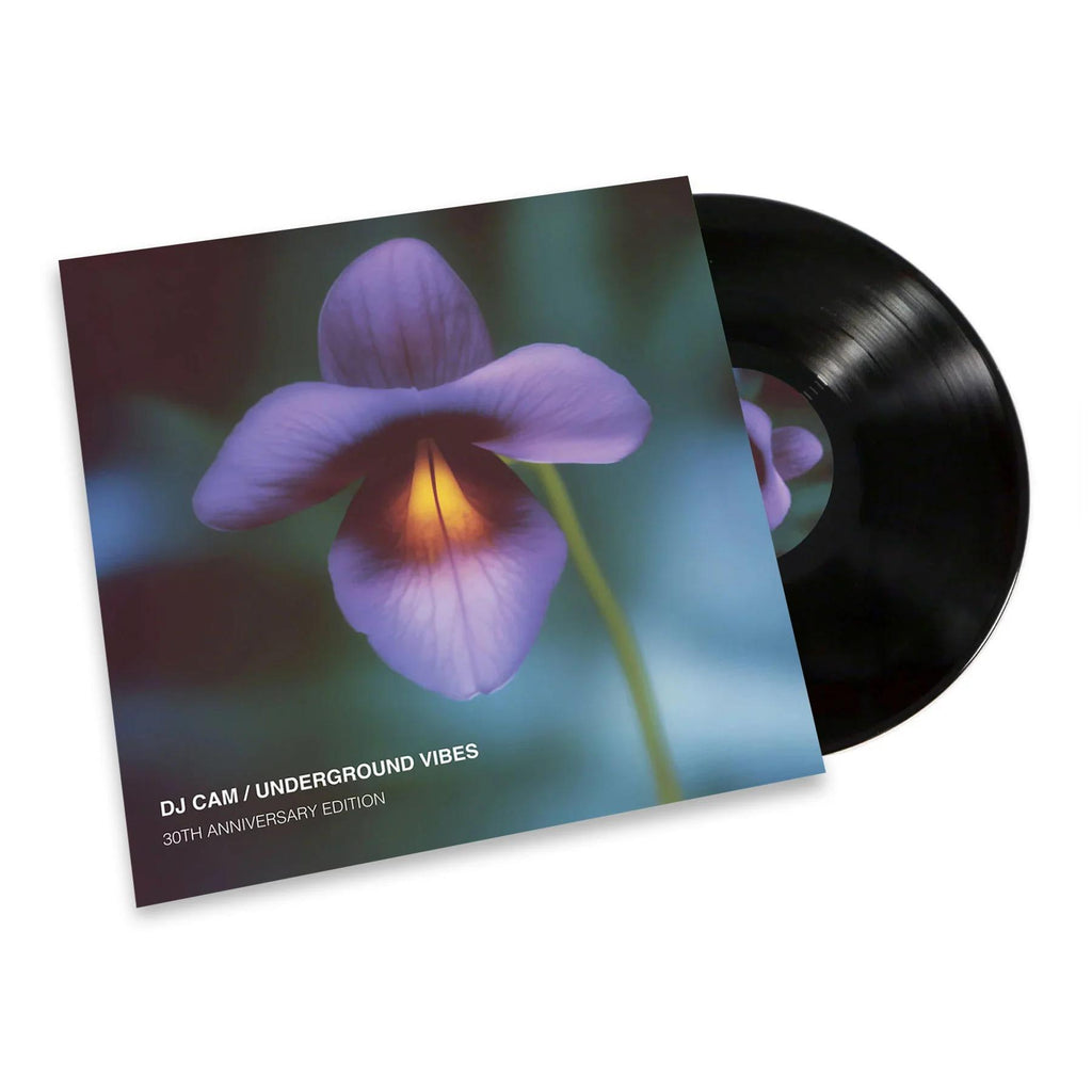 Underground Vibes (30th Anniversary Vinyl) - JB Hi-Fi