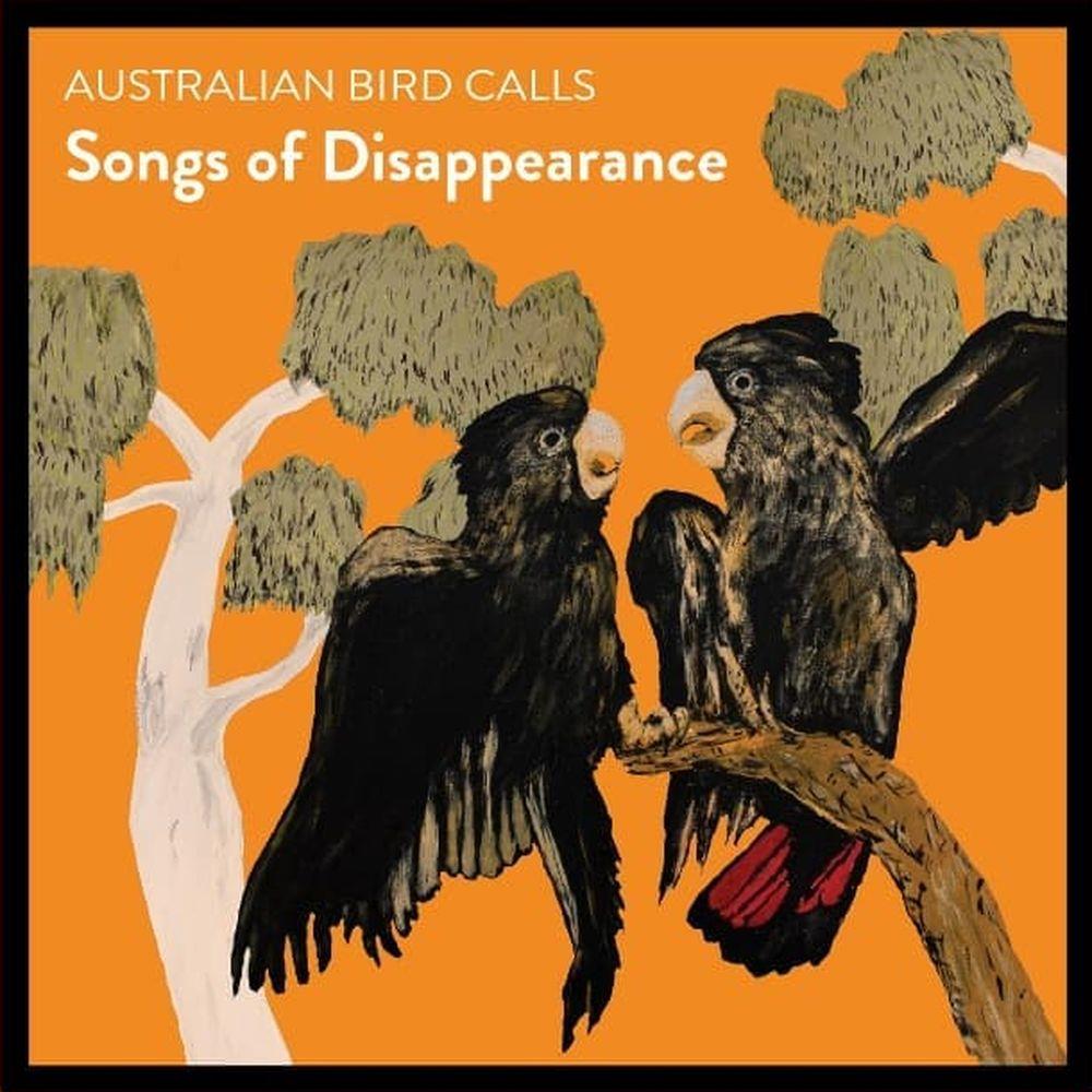 australian bird calls songs of disappearance