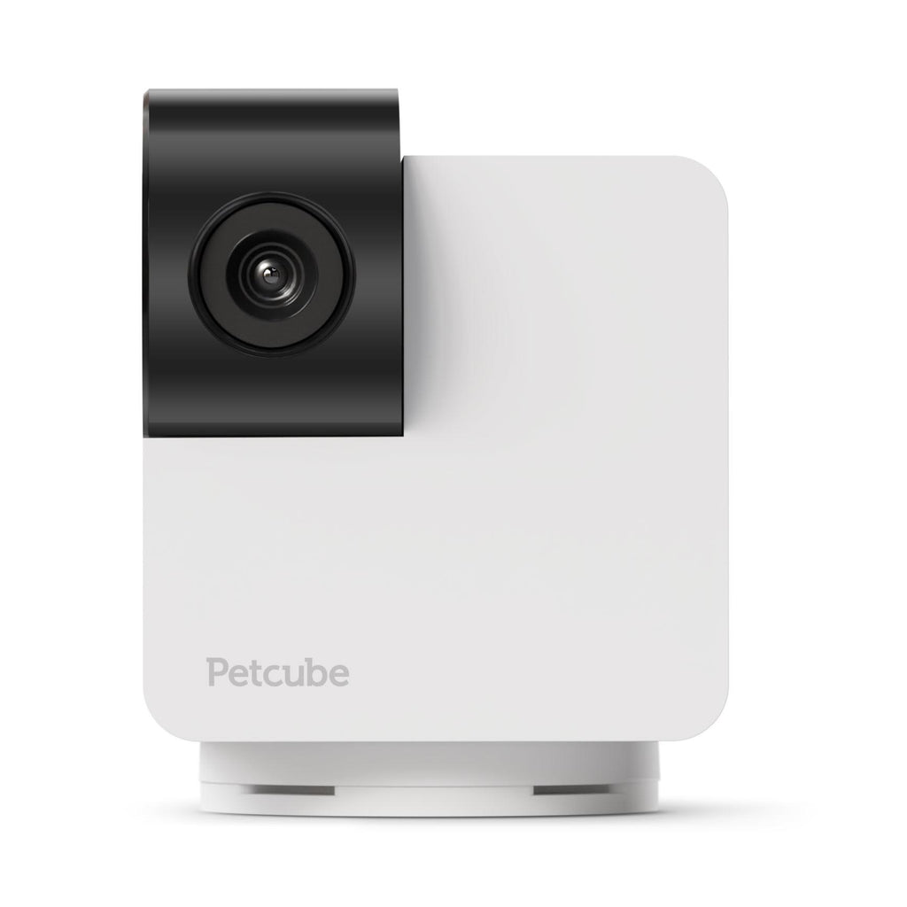 Petcube Cam 360 JB HiFi