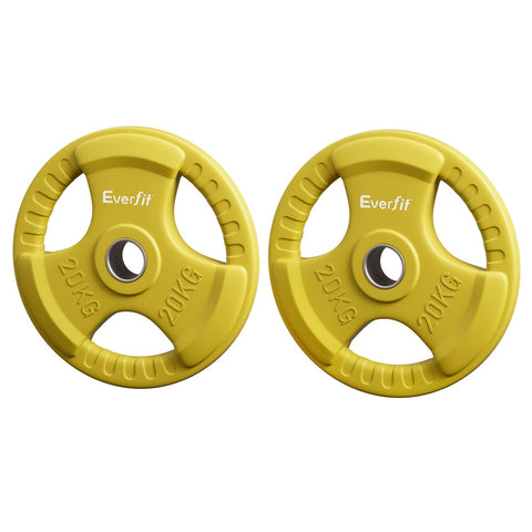 Everfit Weight Plates Olympic 20kgx2 Dumbbell Barbell Plate Weight Lifting Home Gym (Yellow)