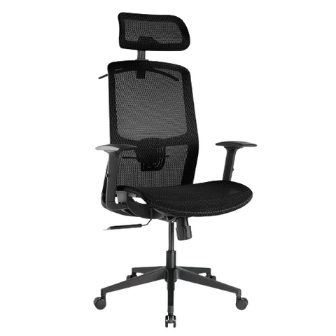 Desky Adjustable High Back Mesh Chair (Black)