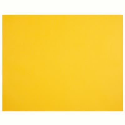 Quill XL Multiboard Paper 210GSM 510×635mm Pack 20 (Sunshine)