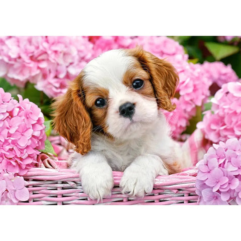 Castorland 500-Pieces Pup In Pink Flowers Puzzle