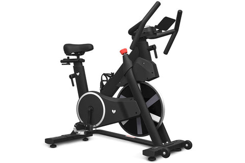 Lifespan Fitness SM-420 Spin Bike with Magnetic Resistance