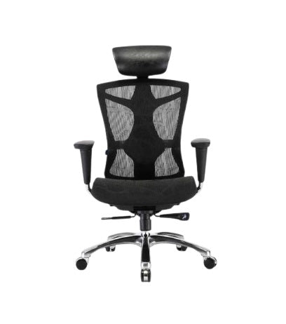 Sihoo V1 Ergonomic Office Chair (Black)