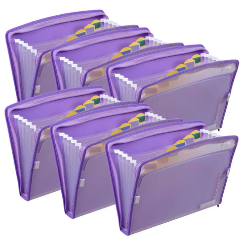 ColourHide Zip It Expanding File Pack of 6 (Lavender)