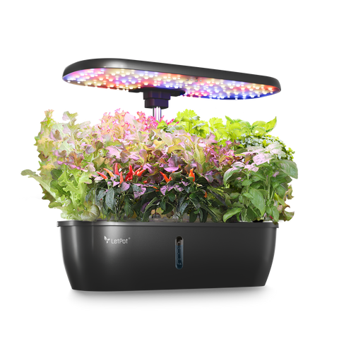 LetPot Lite 12-Pod Smart Indoor Hydroponic Garden System (Black)