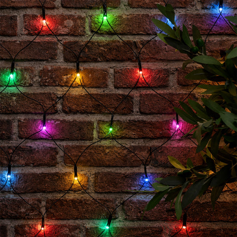 Lexi Lighting Dual Power 160 LED Connectable Net Light - Multicolour