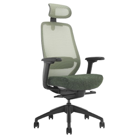 Desky CoilFlex Ergonomic Office Chair - Dark Green / Headrest