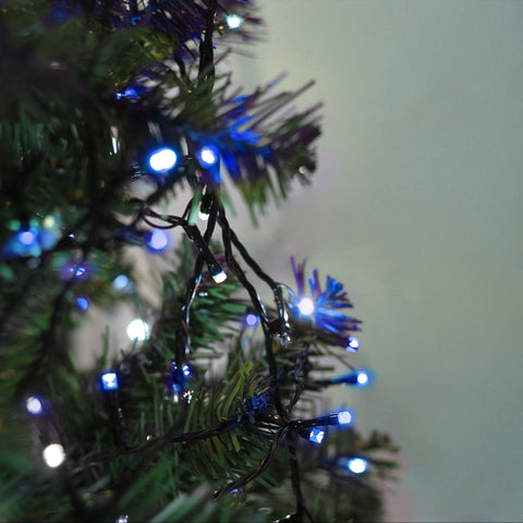 Lexi Lighting 400 Sparkle LED Connectable String Light - Black Cable - Blue + White Flicker