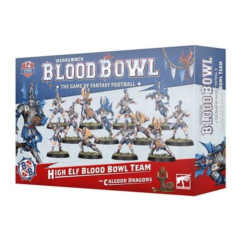 Games Workshop Warhammer Blood Bowl High Elf Team