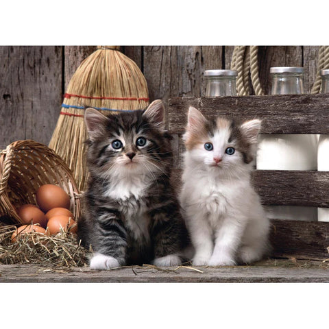 Clementoni 1000-Pieces Lovely Kittens