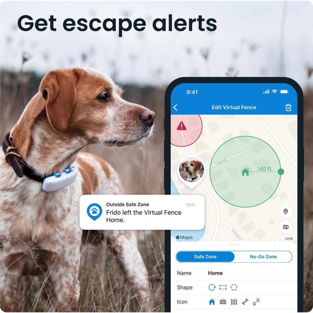 Tractive GPS DOG 4 Dog Tracker and Activity Monitor JB HiFi