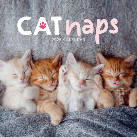 Paper Pocket Cat Naps 2026 Calendar