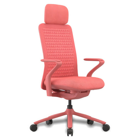 Desky Pro Ergonomic Mesh Chair with Headrest Coral