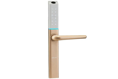 Auslock Slim Series Smart Lock S3 (Gold)