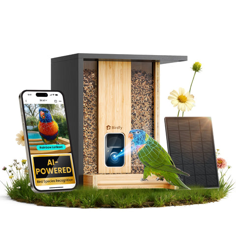Birdfy Feeder Bamboo AI Lifetime Free with Solar