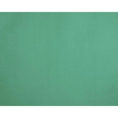Quill Board 210Gsm 510x635mm Green Pack 20