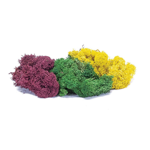 Hornby OO Autumn Lichen – Large Mix