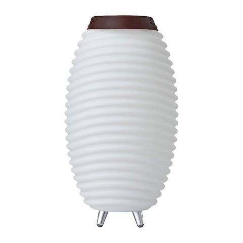Kooduu Synergy 50 LED Lamp/Bluetooth Speaker with Wine Cooler