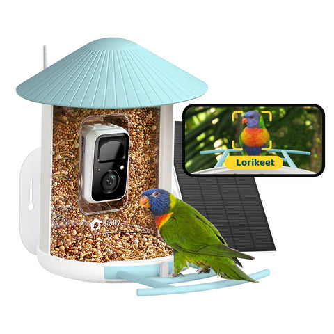 Birdfy Feeder AI Lifetime Free with Solar (Blue)