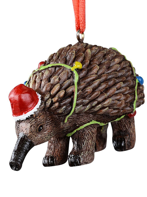 Christmas Warehouse - DECRH129 Native Echidna With Fairy Lights Whimsical Essential Ornament | 80mm Brown With Green, Red, Blue & Yellow