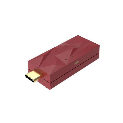 iFI iDefender Max USB-C