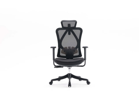 Sihoo M18 Pro Ergonomic Office Chair Mesh (Black)