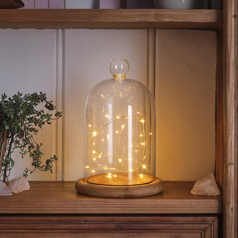 Lexi Lighting Battery Operated 40 Micro LED String Lights with Timer - Warm White
