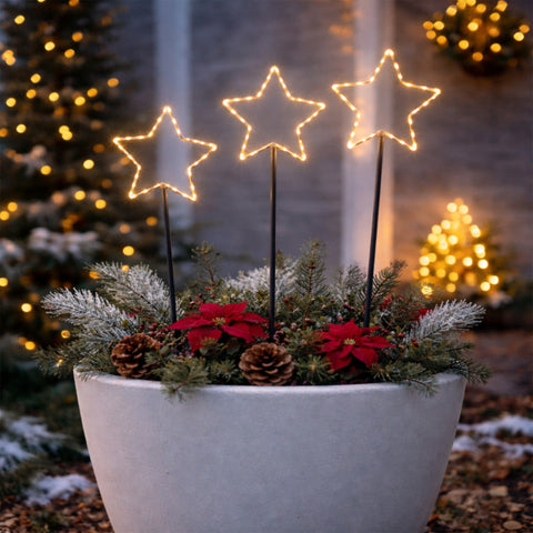 Lexi Lighting Outdoor Star Garden Light