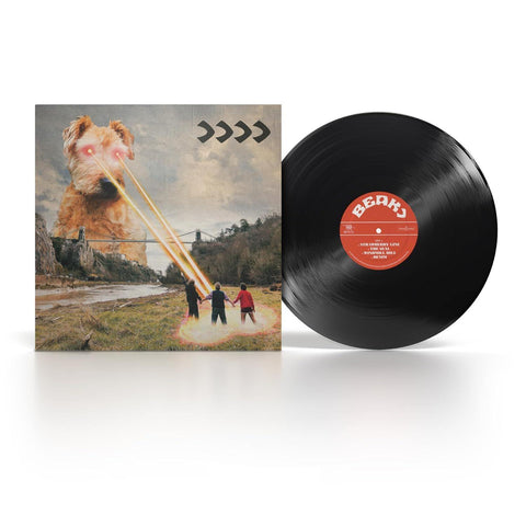 >>>> (Vinyl)