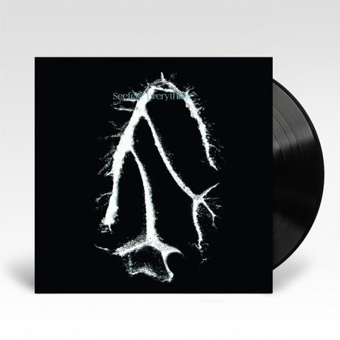 Everything Squared (12in VINYL)