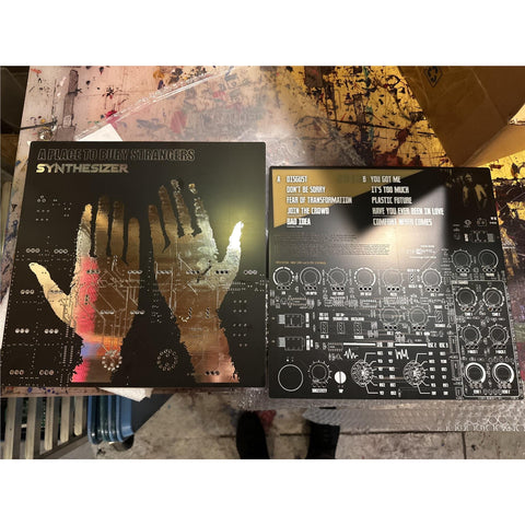 Synthesizer (Vinyl)