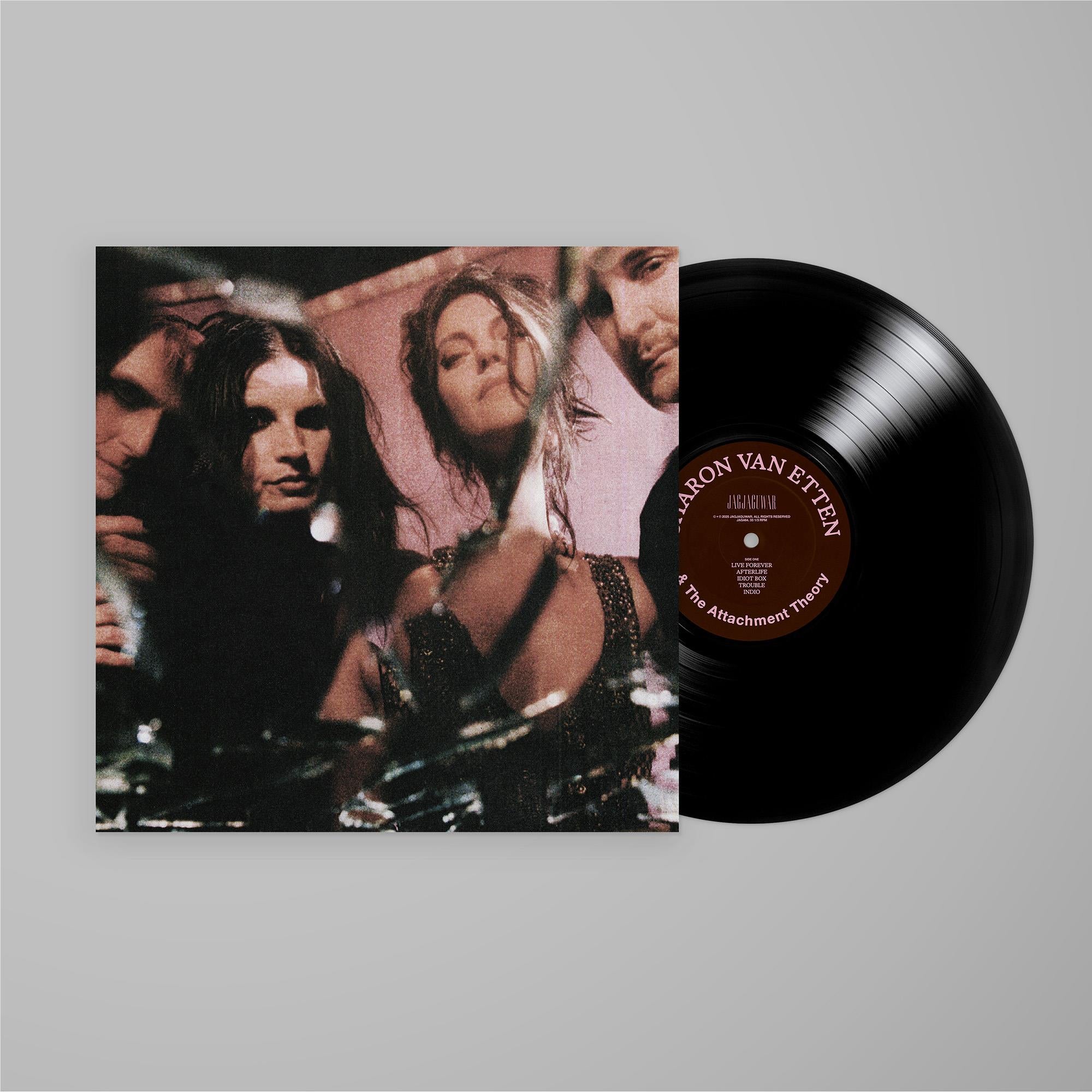 Sharon Van Etten & The Attachment Theory (Vinyl) - JB Hi-Fi