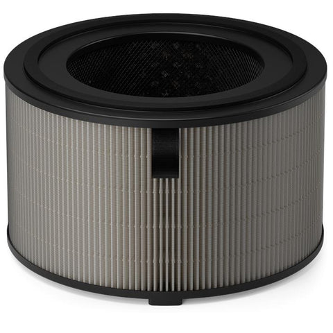 Philips PureProtect Pro 4200 Series HEPA NanoProtect Filter (2 Pack)
