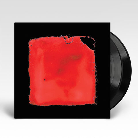 last chance to see (Vinyl)