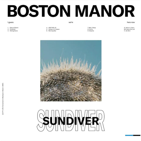 Sundiver