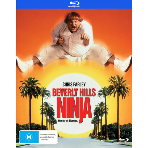 Beverly Hills Ninja