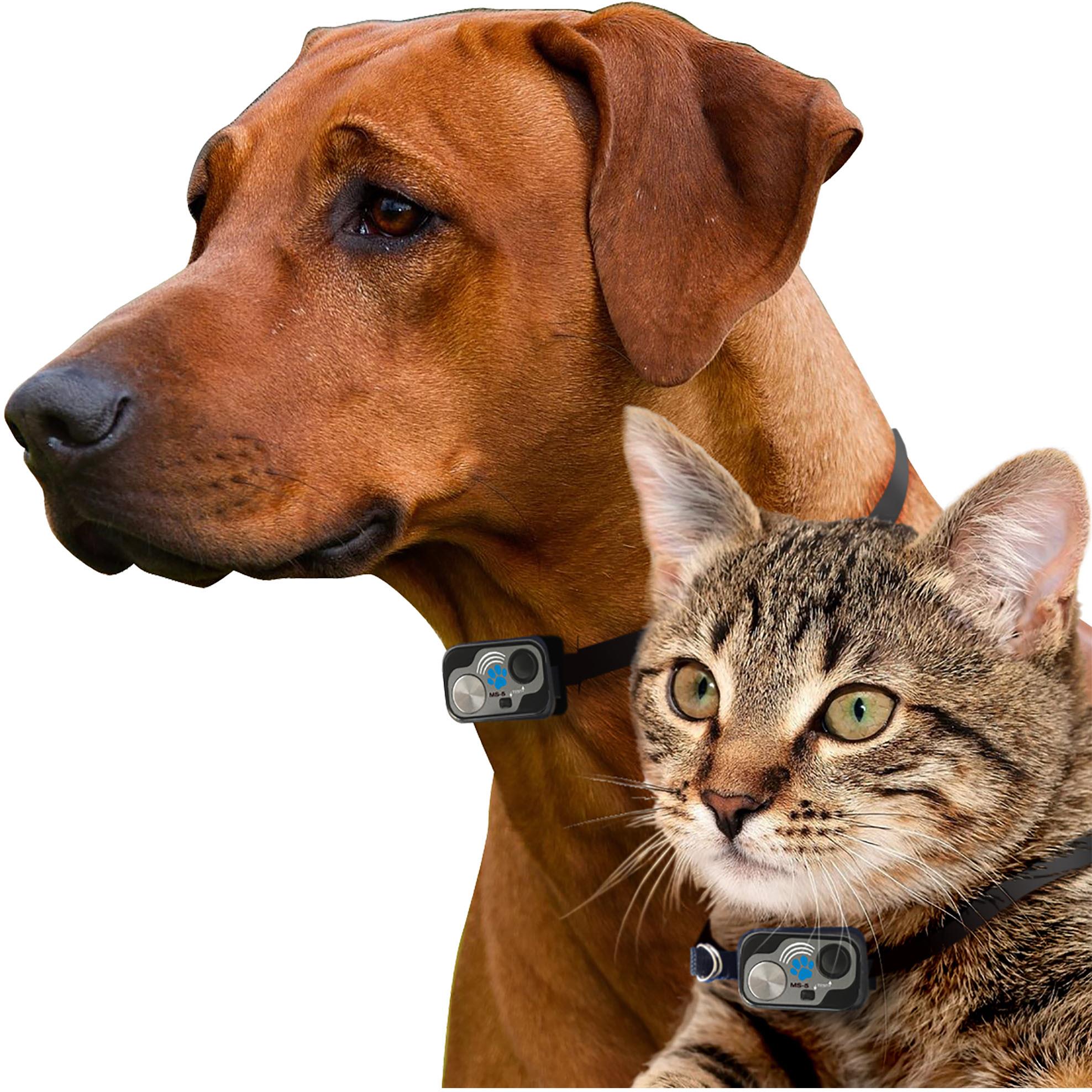 High tech pet door ms 5 collar jb hi fi