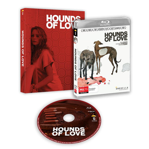 Hounds of Love