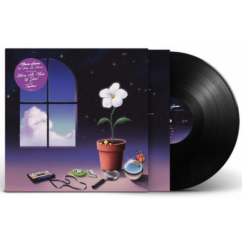 We Always Had Tomorrow (Vinyl)