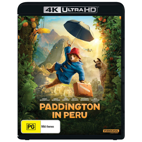 Paddington In Peru
