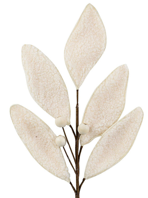 Christmas Warehouse - STEM2529 Cream Natural Wool Magnolia Leaf & Berry Spray Long Christmas Stem | 58cm Cream on Brown