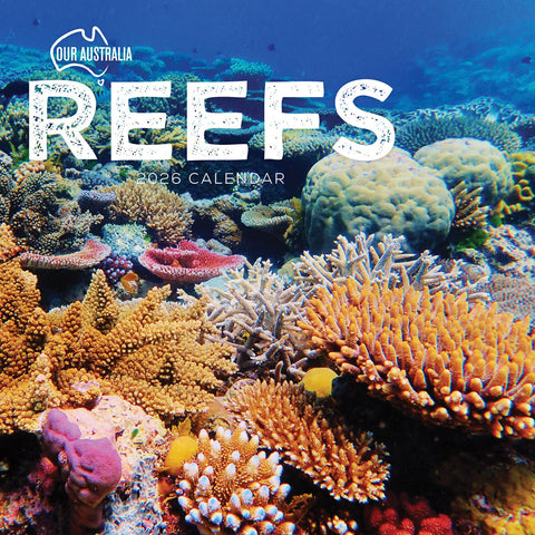 Paper Pocket Our Australia Reefs 2026 Calendar