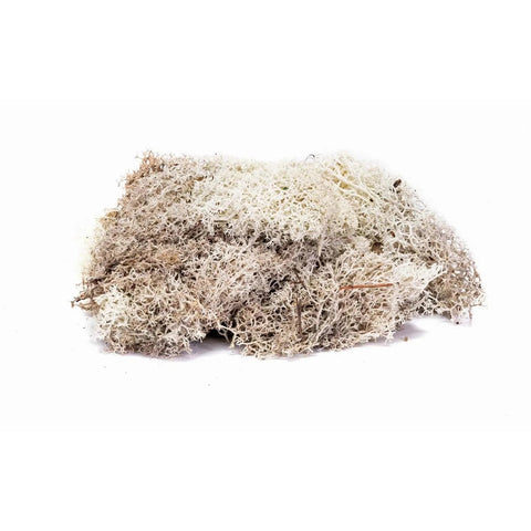 Hornby Lichen - Stone Grey