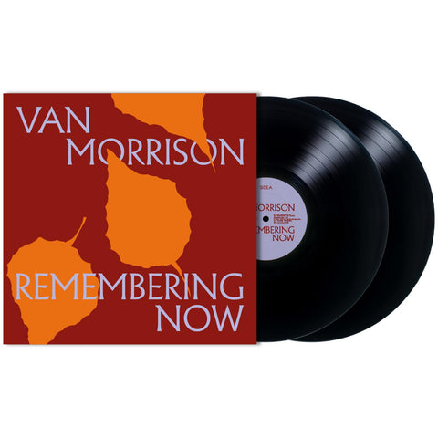 Remembering Now (Vinyl)